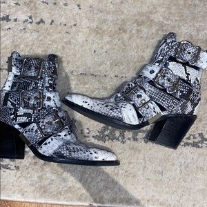 Jeffery Campbell snakeskin booties